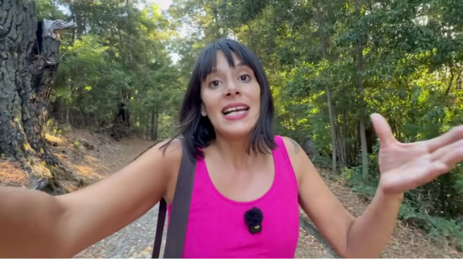 El parque del Biobío que maravilló a youtuber argentina: “Es único en su tipo”