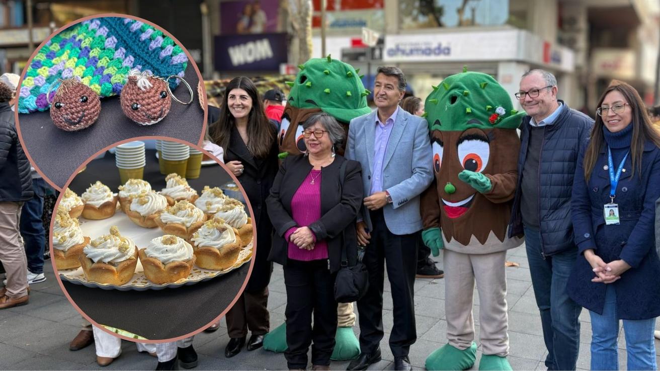 Fiesta de la Castaña tendrá preparaciones únicas, música y tradición del 24 al 26 de abril en Chiguayante