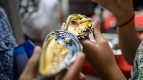 La Fiesta del Choro de La Boca: La llamativa celebración para pasar el fin de semana largo en Rapel