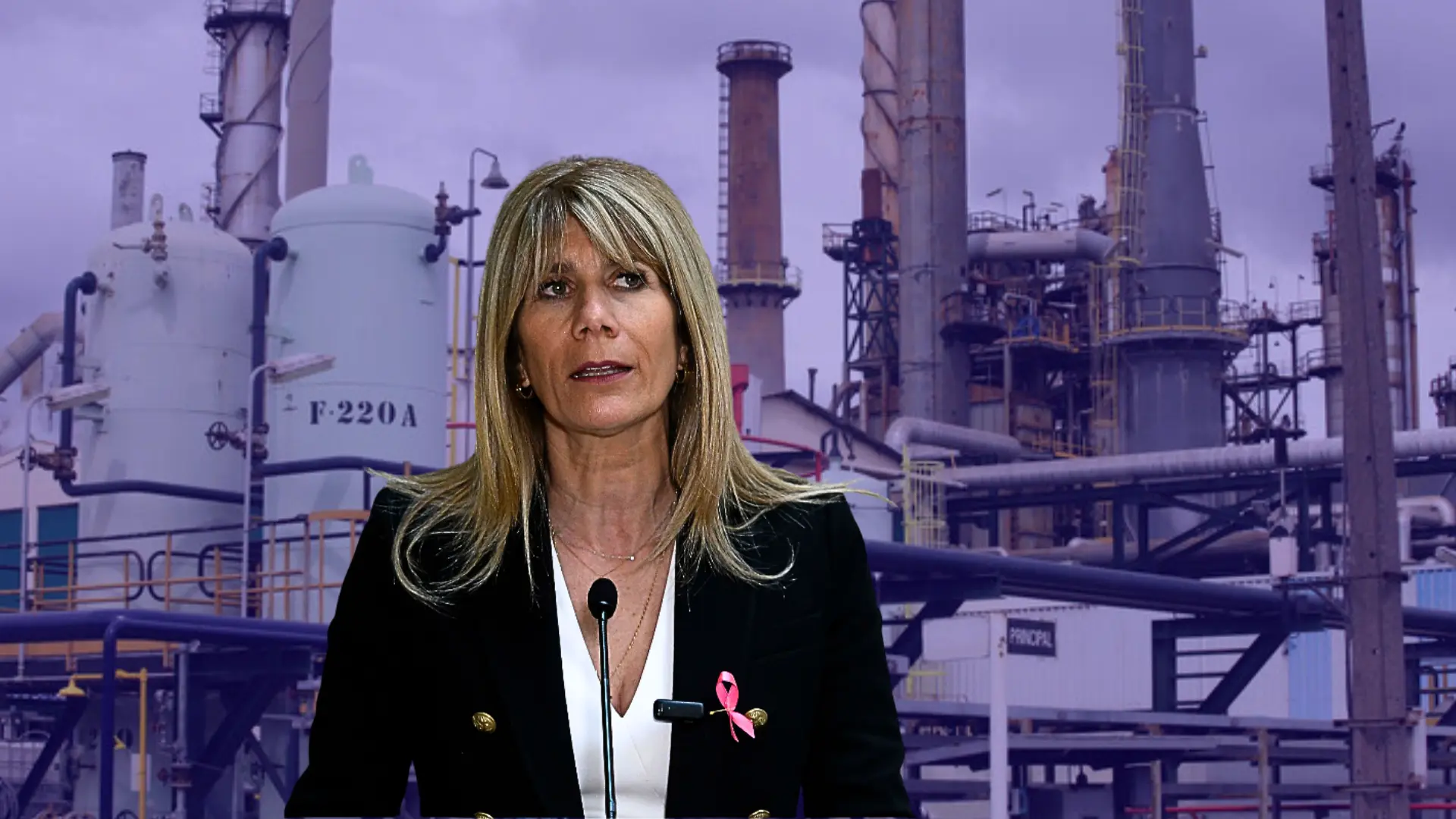 “Ya están todos en condiciones de poder recibir el gas”: ministra de Energía por normalización del suministro en Biobío y Ñuble