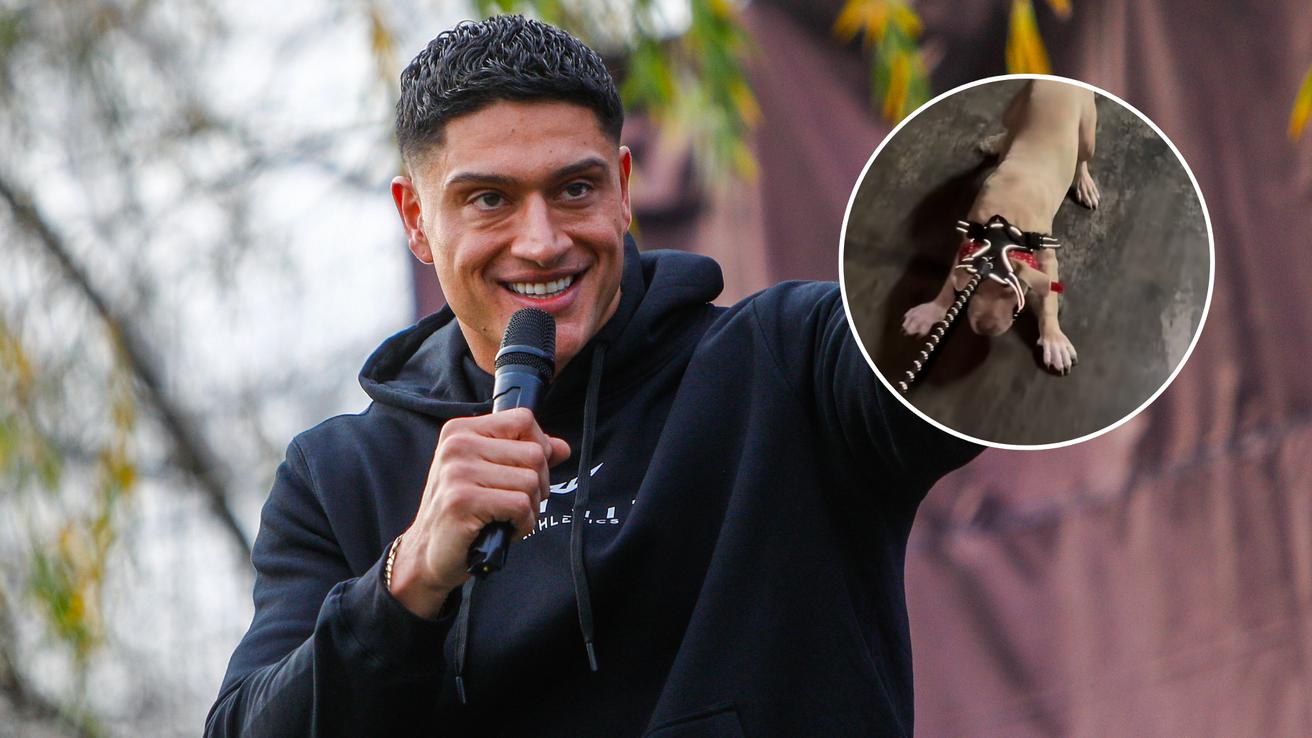 Sammis Reyes recibe ola de críticas por video arrastrando a su perrita: “Es maltrato animal”
