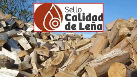Tras alza de combustibles crece uso de calefacción a leña: Dónde comprarla “certificada” en la Región del Biobío