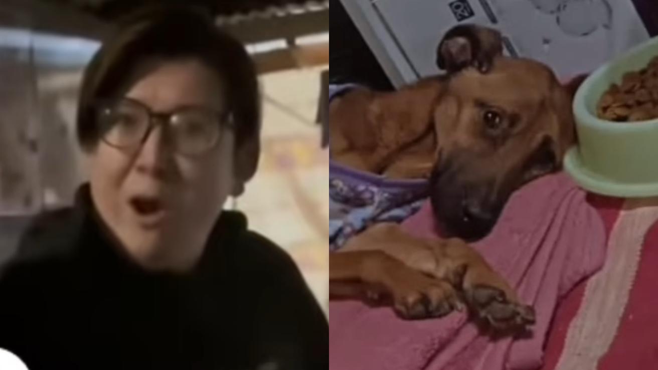 Acusan a creador de contenido de “Fiebre de Baile” de maltrato animal: “Bestia de ser humano”