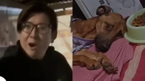 Acusan a creador de contenido de “Fiebre de Baile” de maltrato animal: “Bestia de ser humano”