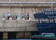 Pasajera infectada con hantavirus en crucero MV Hondius se encuentra grave: Está conecta a un pulmón artificial