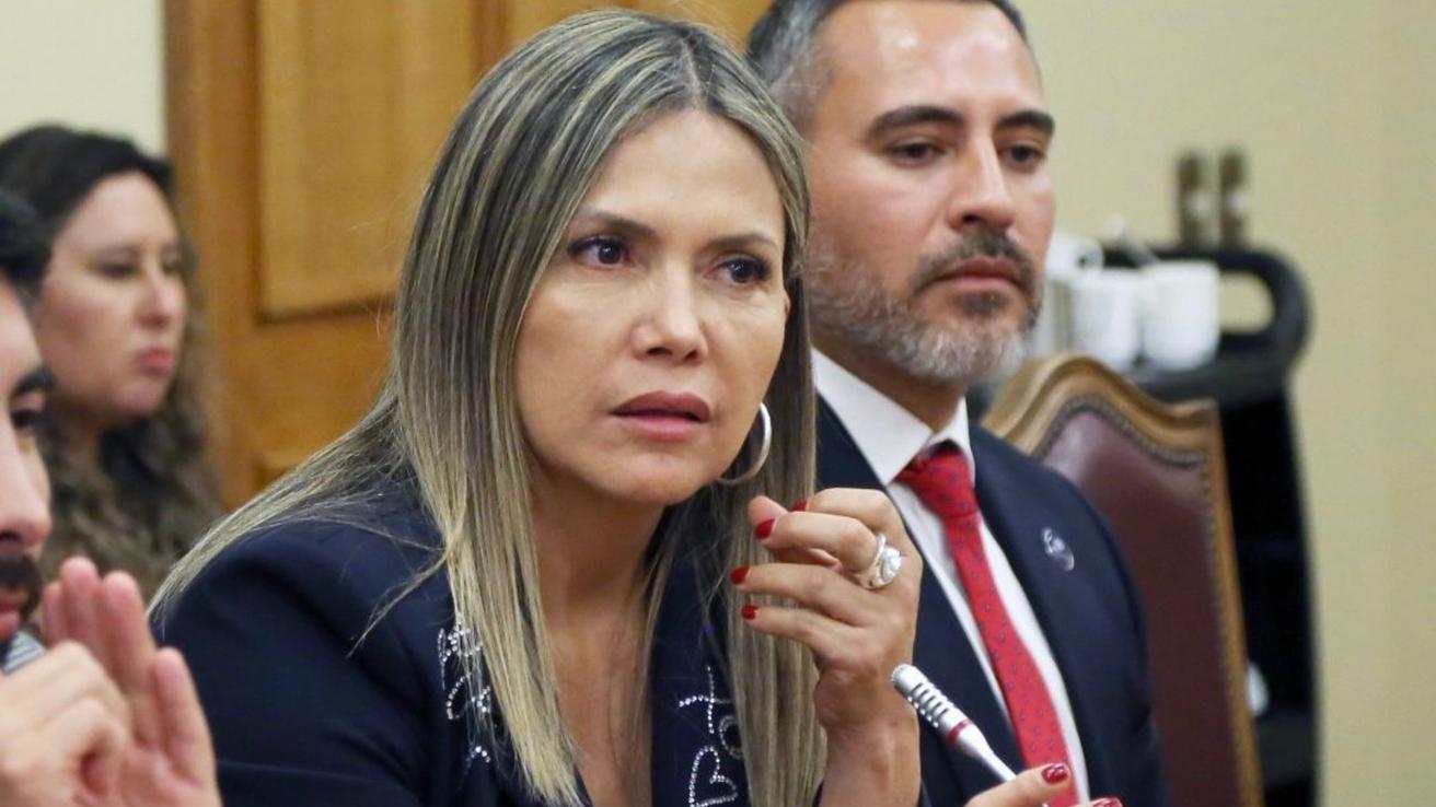 Diputada Marlene Pérez se reunirá con ministra de Salud para manifestar su preocupación por ajuste presupuestario en hospitales del Biobío