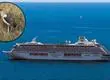 Quién es el paciente cero del brote de hantavirus en el crucero MV Hondius