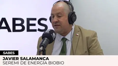 Seremi de Energía confirma disponibilidad de pellet para la temporada más fría del año en el Biobío