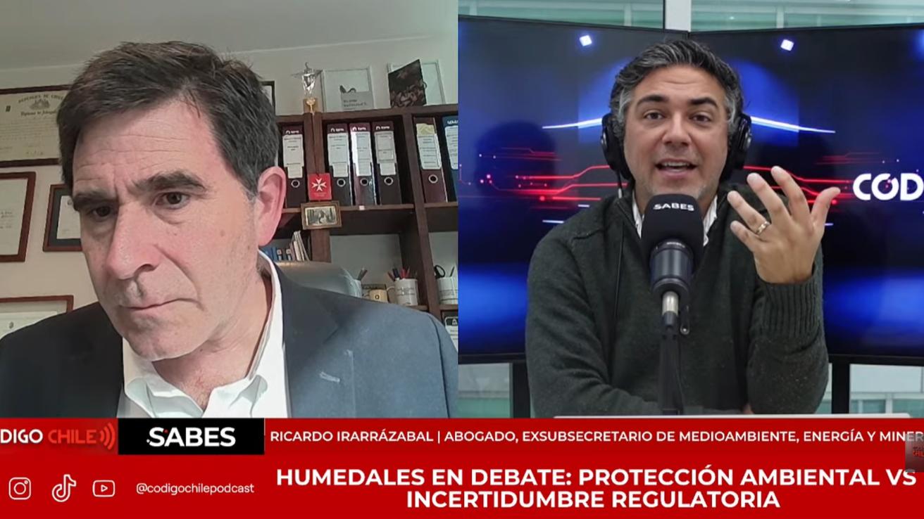Ex subsecretario de Medio Ambiente, Ricardo Irarrázabal, lapida ley de Humedales Urbanos: “No quedó bien hecha”