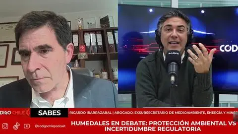 Ex subsecretario de Medio Ambiente, Ricardo Irarrázabal, lapida ley de Humedales Urbanos: “No quedó bien hecha”