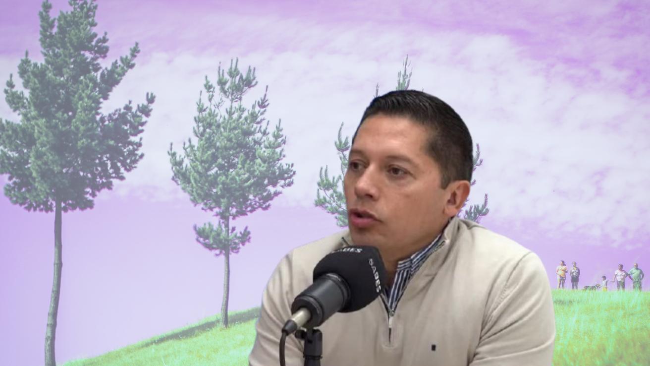 Los consejos de un experto para invertir en parcelas: “Si quieres comprar un terreno tienes que ir a verlo en invierno”
