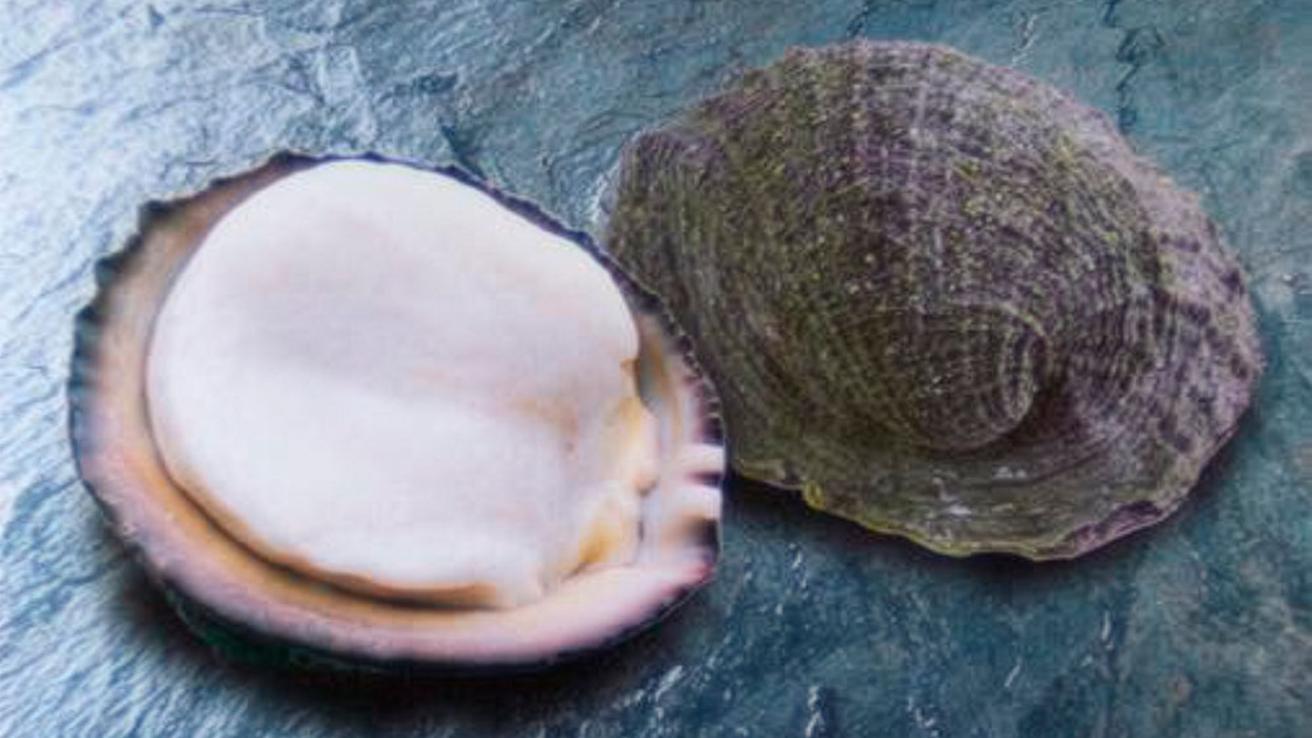 Vacuna chilena en base a proteína del loco contra el cáncer de piel muestra avances significativos: Resultados indican una tasa de control favorable sobre el melanoma