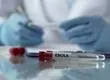 Muertes por ébola aumentan a 220: OMS declaró que “la epidemia nos está superando”