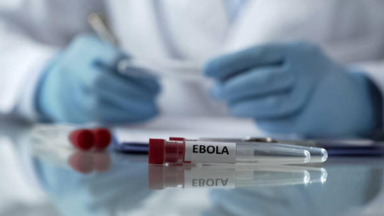 Muertes por ébola aumentan a 220: OMS declaró que “la epidemia nos está superando”