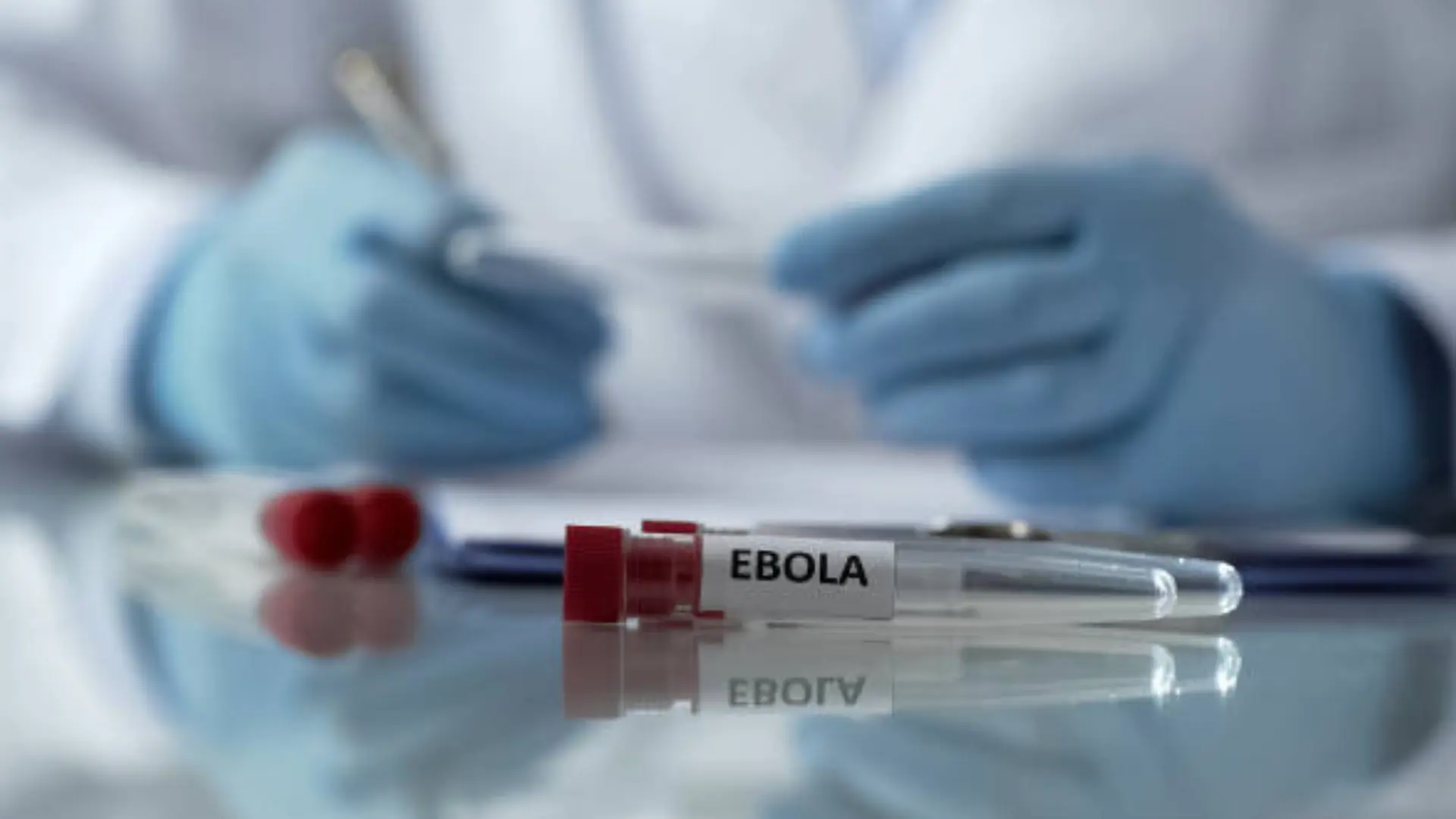 Muertes por ébola aumentan a 220: OMS declaró que “la epidemia nos está superando”
