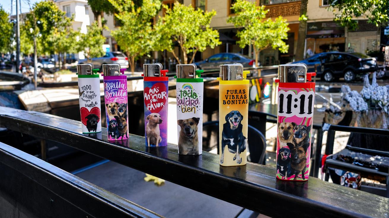 Street Dogs’ Fire: los encendedores que financian ayuda para perritos callejeros en Concepción