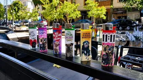 Street Dogs’ Fire: los encendedores que financian ayuda para perritos callejeros en Concepción