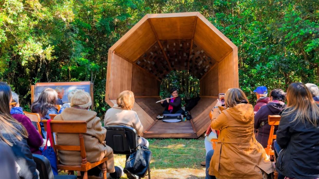 Parque Oncol de Valdivia incorpora estación acústica que transforma el bosque en una experiencia sonora