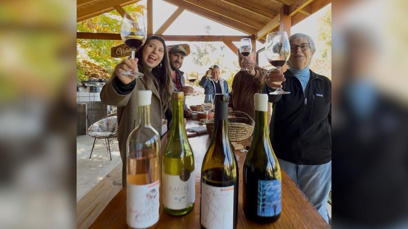 Club “Amigos del Vino” de Arica explora vinos del Biobío para abrir nuevos mercados en el norte