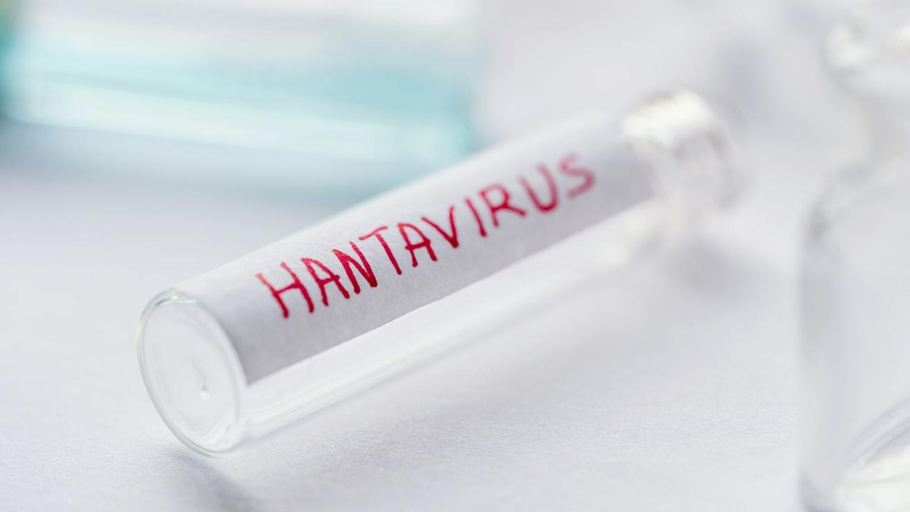 Ministerio de Salud confirma cantidad de contagiados y fallecidos por hantavirus en Chile: letalidad alcanza el 33%