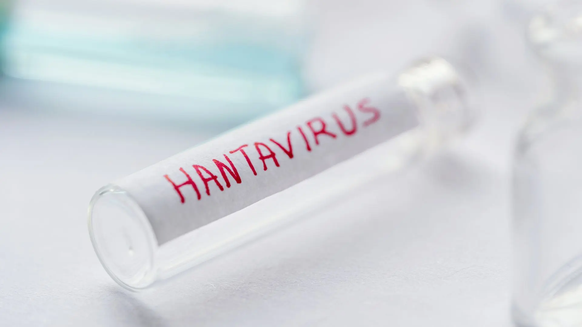 Ministerio de Salud confirma cantidad de contagiados y fallecidos por hantavirus en Chile: letalidad alcanza el 33%