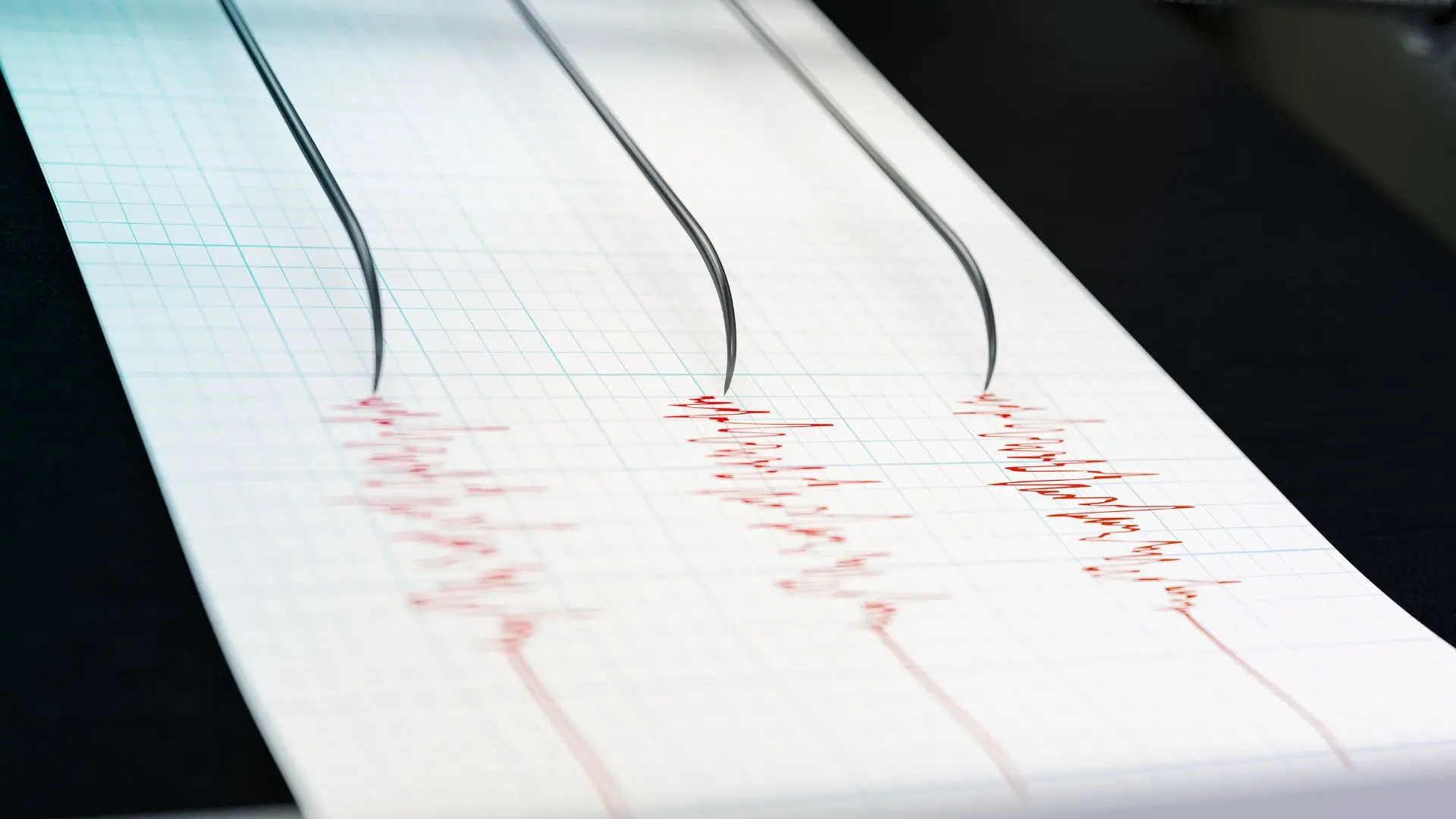 Sismo afectó a la zona norte del país: Conoce su magnitud