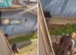 Detienen a hombre por salvaje agresión contra su hija en la calle en Concepción