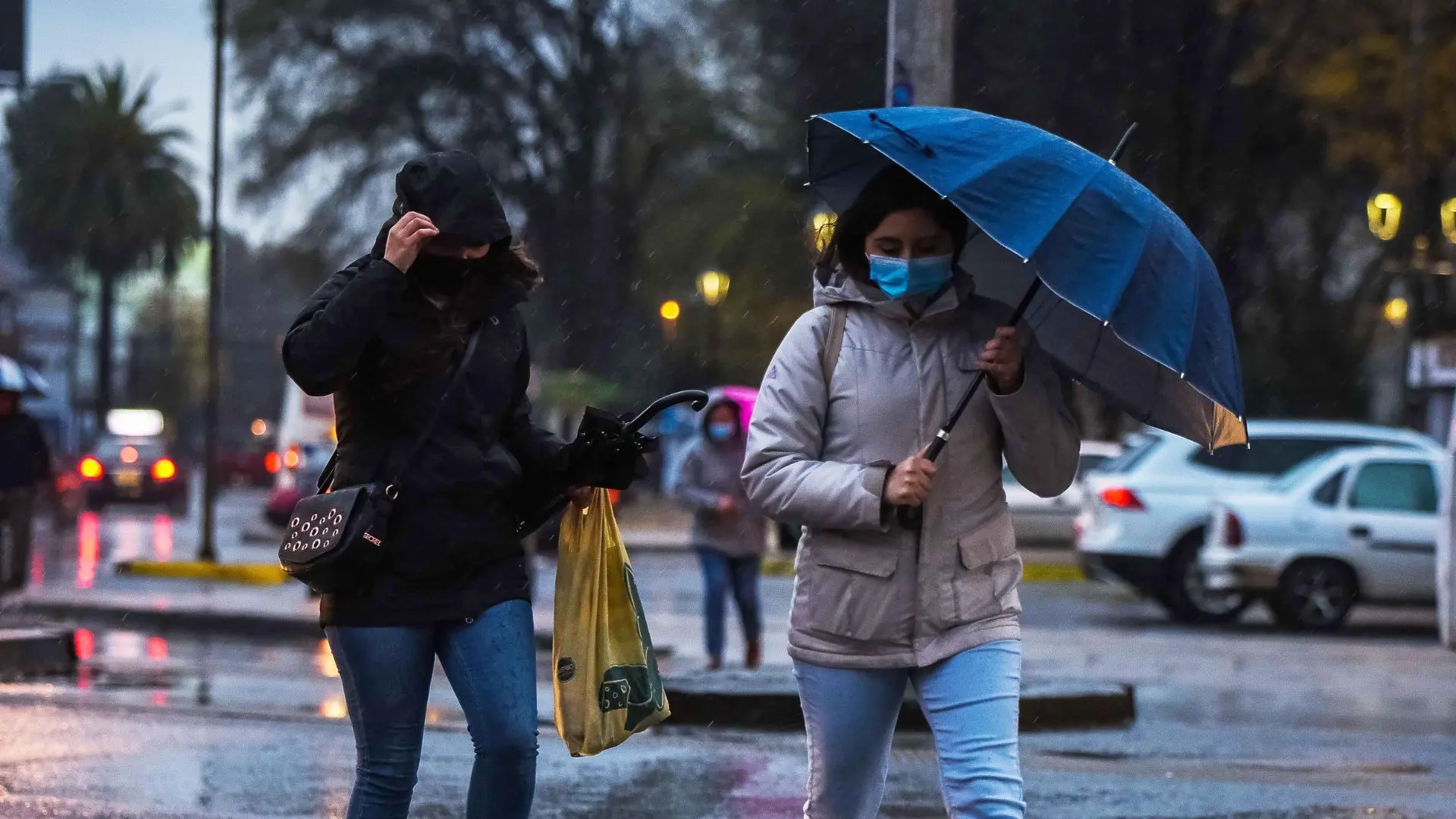 La Araucanía bajo aviso de fuertes rachas de viento este jueves 28 de mayo: conoce las comunas afectadas