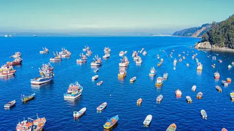 Hasta seis pagos de $100 mil: Estos son los requisitos para acceder al Cupón Pesca Artesanal en el Biobío