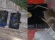 Abandono de obras de Tapusa provoca llegada de ratones a casas de vecinos de Colón en Talcahuano
