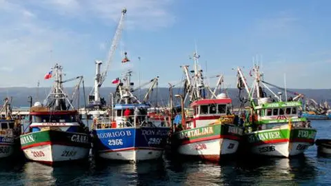 Pescadores de cerco acusan exclusión del Plan Biobío 2050