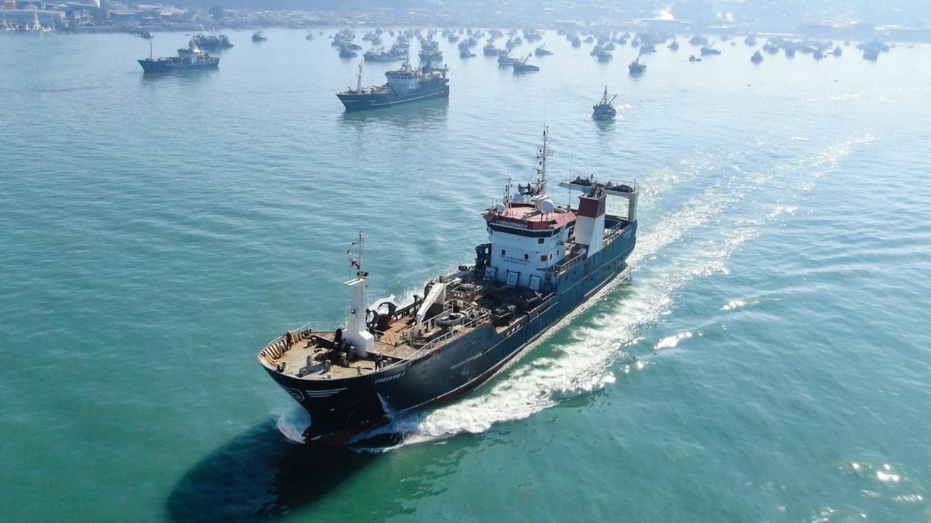 “Puede durar 2 meses”: director de Inpesca explica por qué desapareció el jurel en Biobío y cuándo volvería