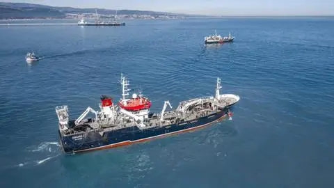 Jurel sigue sin aparecer: Trece barcos industriales del Biobío continúan en altamar en búsqueda del recurso sin obtener resultados