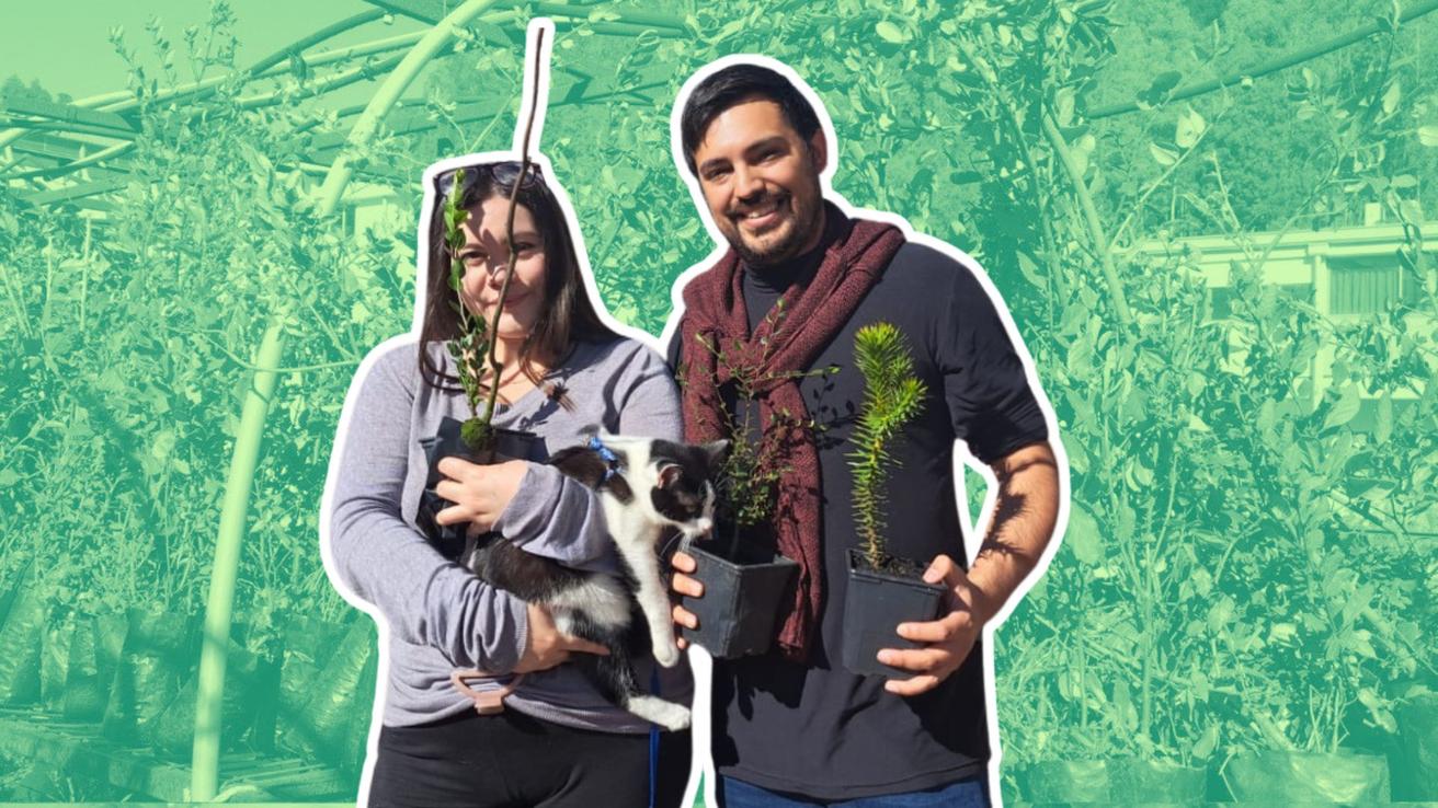 U. de Concepción regalará miles de árboles nativos este sábado 9 de mayo