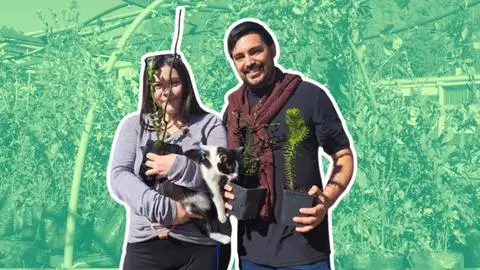 U. de Concepción regalará miles de árboles nativos este sábado 9 de mayo