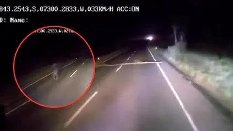 Fallida emboscada a camión forestal en ruta de La Araucanía deja muerto a un atacante