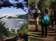 Festival Funga Chorera invita a explorar el patrimonio natural del Parque Tumbes en Talcahuano este 23 de mayo