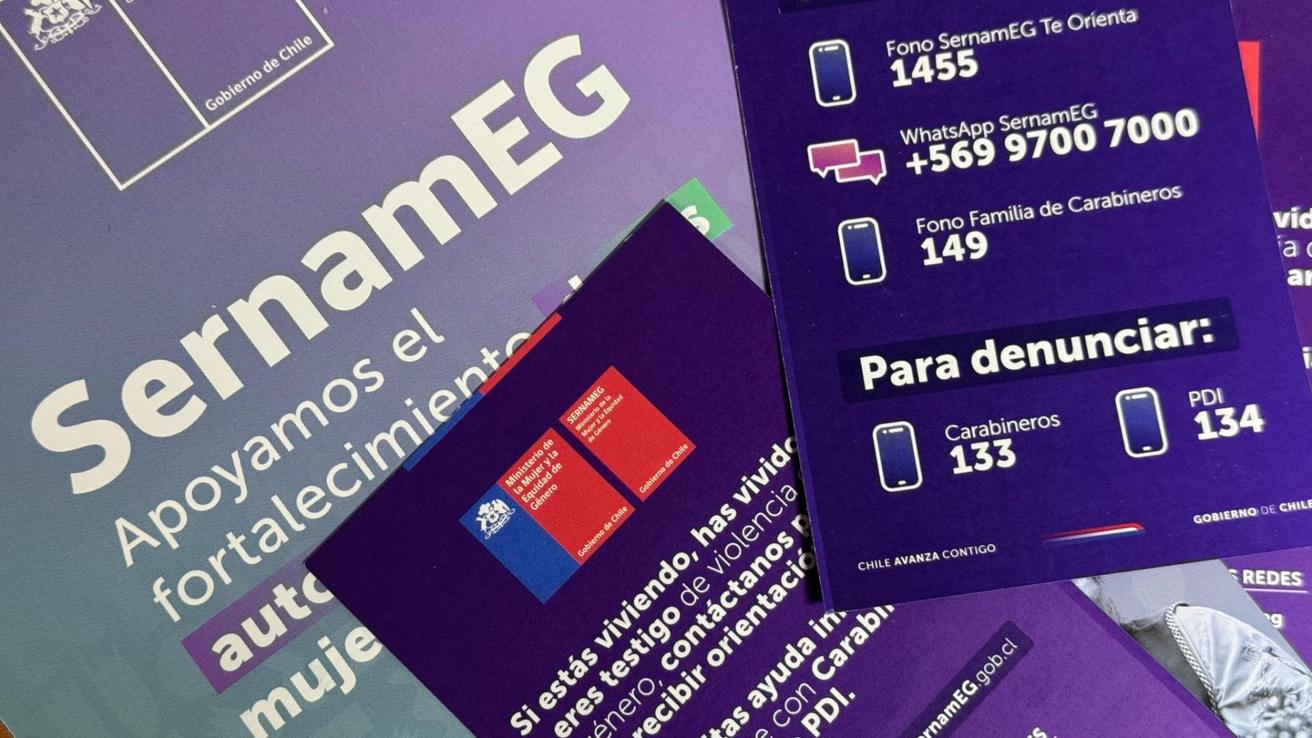 Denuncia de violación grupal contra estudiante universitaria remece a Concepción: Sernameg prepara querella