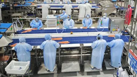 Camanchaca buscará ampliar producción de salmones en su planta de Tomé