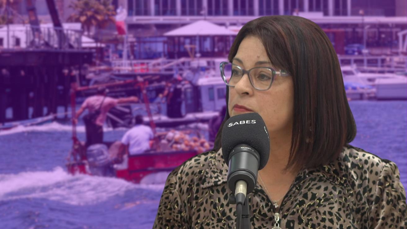 Pescadores artesanales del Biobío exigen claridad en bono prometido por el Gobierno destinado a paliar el alza de las bencinas