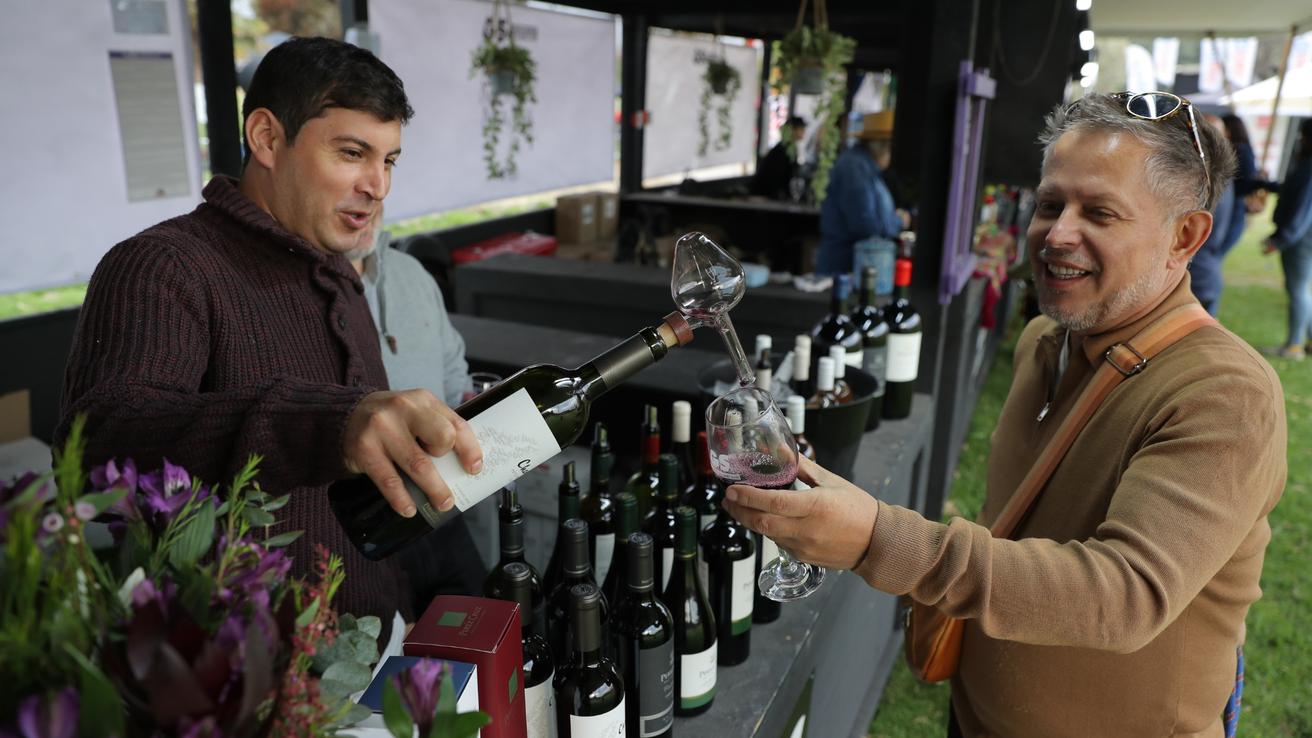 Vendimia del Valle del Maipo tendrá nueva edición en Santiago: Se consolidan como la fiesta del vino más importante de Chile