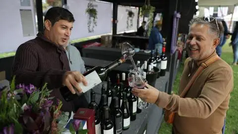 Vendimia del Valle del Maipo tendrá nueva edición en Santiago: Se consolidan como la fiesta del vino más importante de Chile