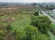 Presentan recursos para frenar proyecto de 350 departamentos en el Humedal Paicaví del Gran Concepción
