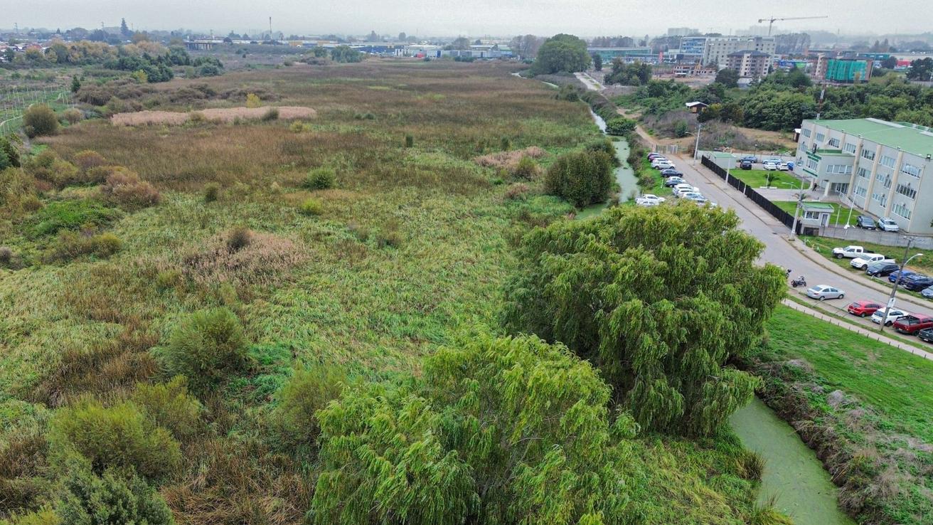 Presentan recursos para frenar proyecto de 350 departamentos en el Humedal Paicaví del Gran Concepción