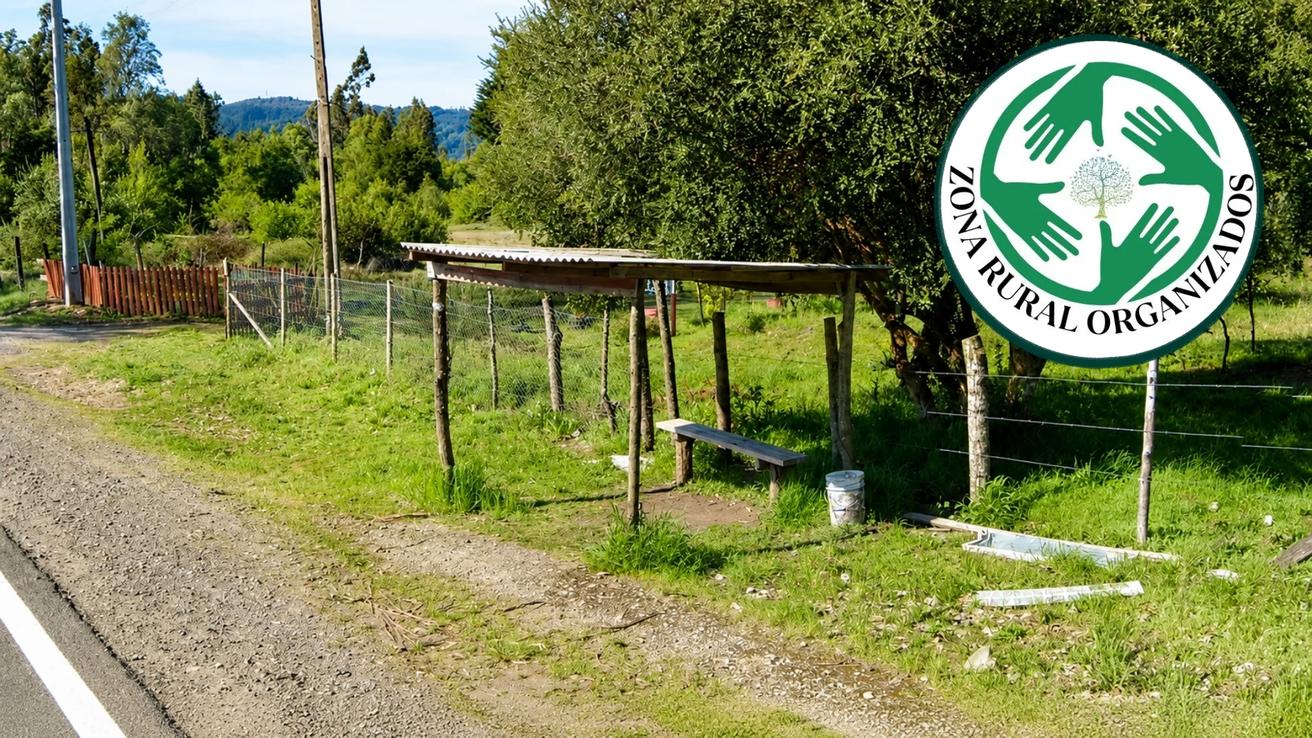 Vecinos de Hualqui construyeron sus propios paraderos: Buscan apoyo para reparar deterioro