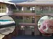 Niña de 10 años sufrió brutal agresión en un colegio por usar una máscara de gato