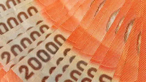 Alza de sueldo mínimo modifica montos de asignación famliar: Revisa cuánto recibirás por carga