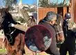 Indignación en Talcahuano por brutal agresión a un caballo: Municipio anunció acciones legales