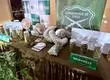 Operativo antidrogas en Santa Juana y Chiguayante deja 3 detenidos y más de 200 plantas incautadas