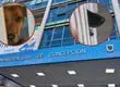 Por sacrificio de perritas comunitarias: Contraloría concluyó que Municipalidad de Concepción no siguió protocolo al realizar eutanasia